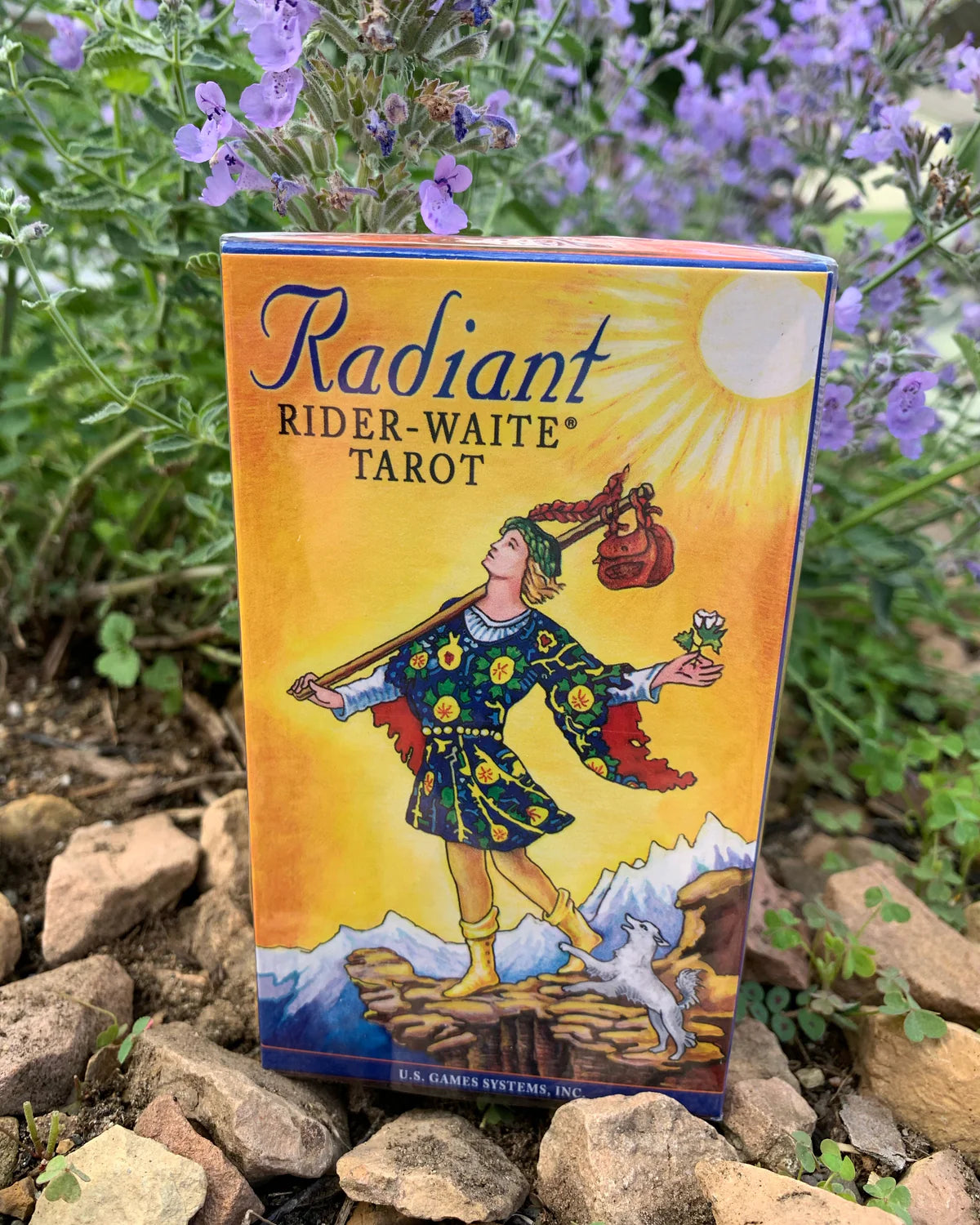 Pre- Order Special- Radiant Rider-Waite for Echos Class