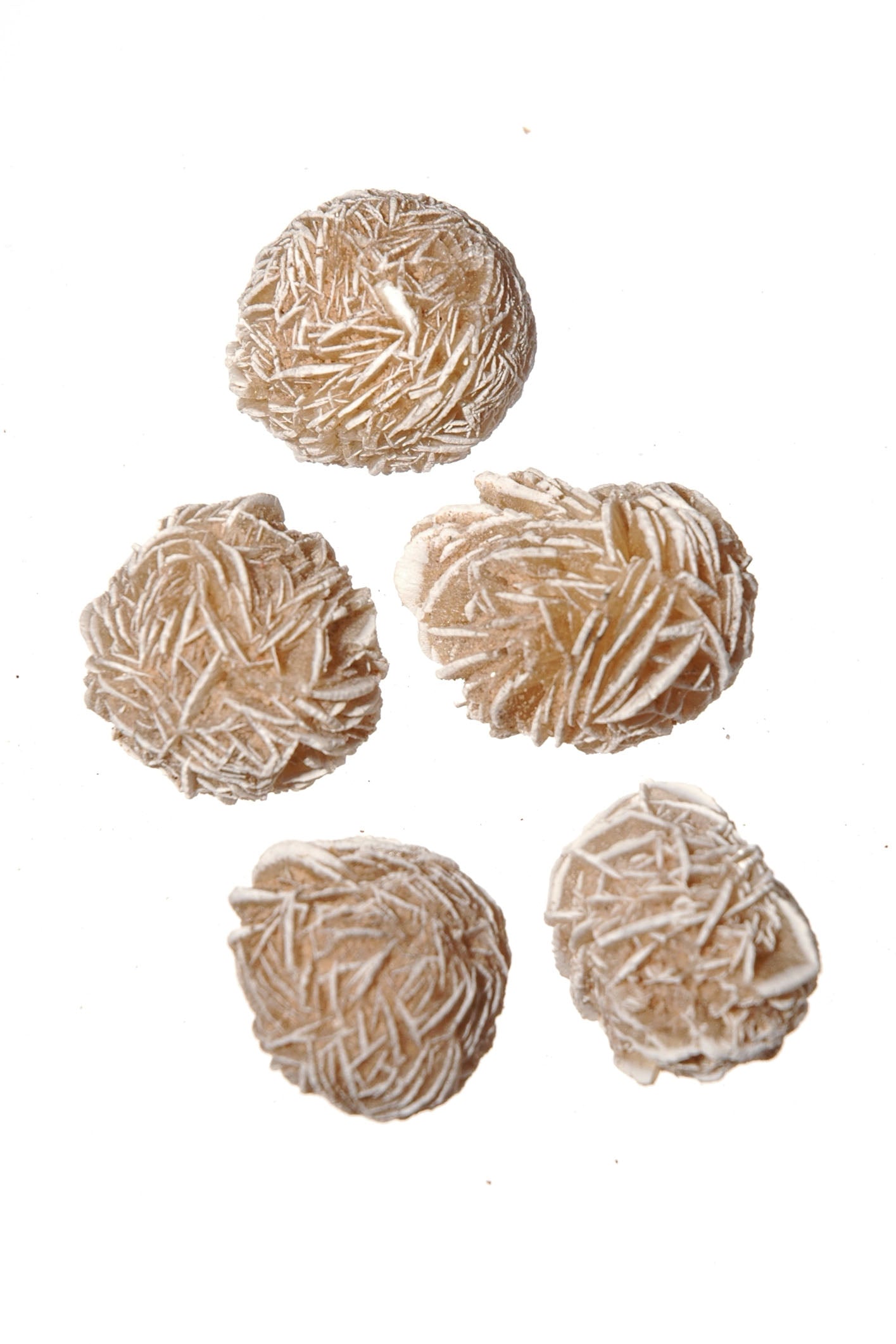 Selenite Roses